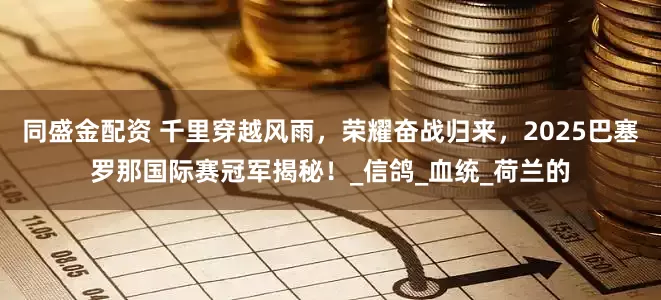 同盛金配资 千里穿越风雨，荣耀奋战归来，2025巴塞罗那国际赛冠军揭秘！_信鸽_血统_荷兰的